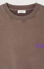 Load image into Gallery viewer, Chestnut Plizzy Sweatshirt