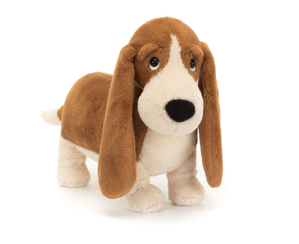 Randall Basset Hound